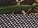 Realtree Max7/ Brown
